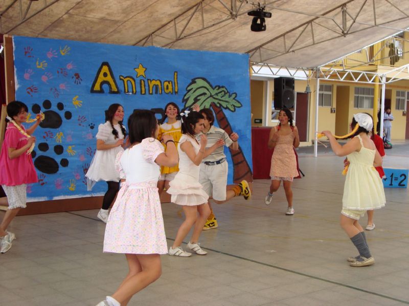 DSC03851