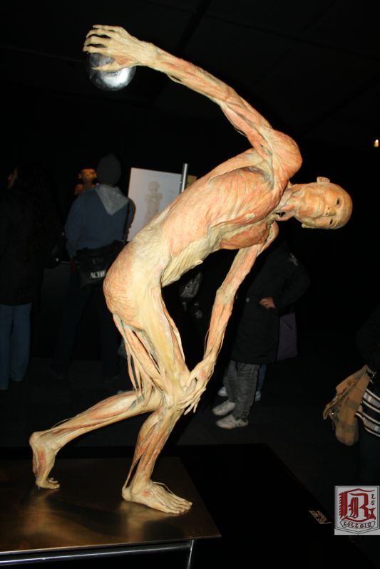 expo_bodies_103