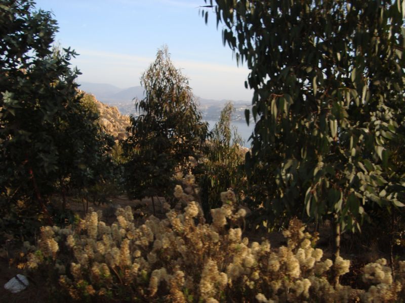 DSC01536