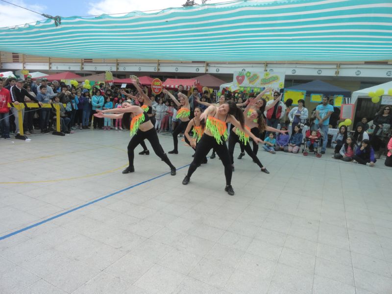 DSC00567